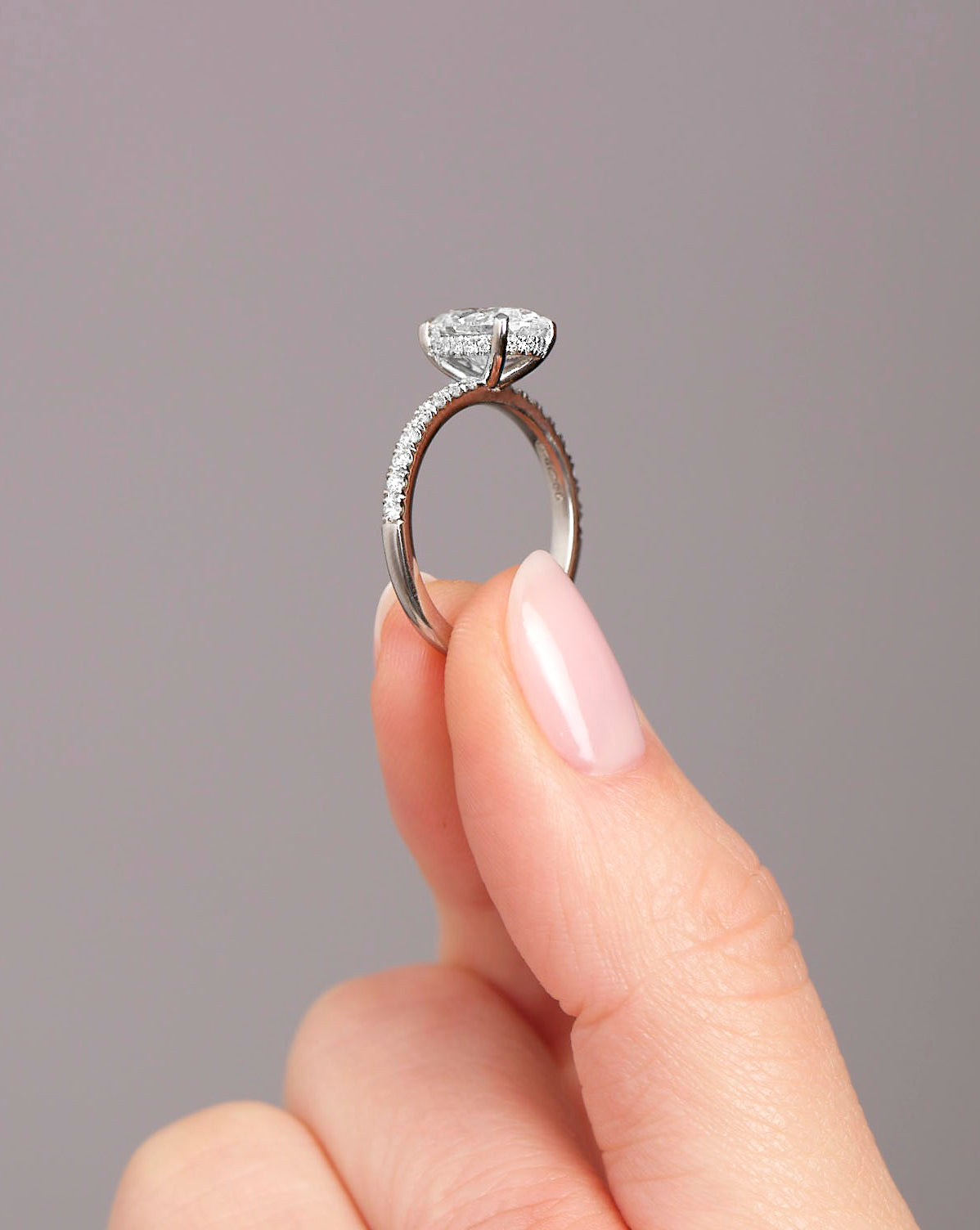 Hidden Halo How Much Is An Oval Diamond Engagement Ring 2ct Oval - Main Image